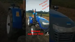 Копання картоплі 2022 рік, трактор Європард 354.