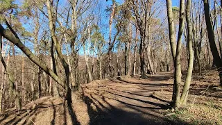 FOREST WALKING 👣- MALE KARPATY⛰️-  SLOVAK FOREST🌳🎧 ASMR - SOFT SPOKEN🤫 (FEBRUARY) 2024 (HD 60 fps) 🎥