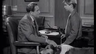 Lassie - Episode 51 - "The Journey" - Season 2, Ep. 25 (02/26/1956)