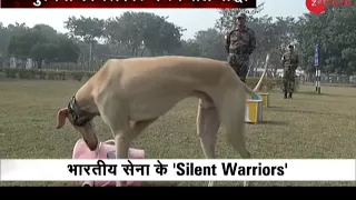 First Time Ever: Indian breed dogs become part of Indian Army