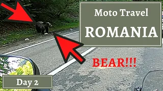 Bears and Dracula in Transylvania - Moto Travel ROMANIA [2]