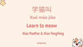 [Meow meow song] Learn to Meow《学猫叫-Xué māo jiào》- Xiao PanPan & Xiao FengFeng