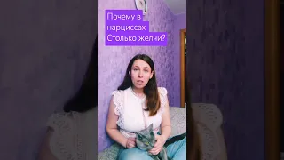 почему нарциссы такие желчные