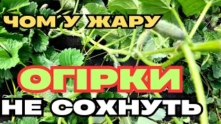 РОЗКАЖУ ЩЕ РАЗ🥒 / ВІДПОВІДЬ на НЕГАТИВНИЙ  КОМЕНТАР🤪