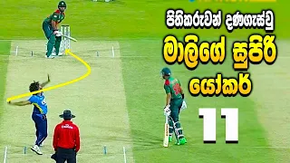 Lasith Malinga - පිතිකරුවන් දණගැස්වූ  මාලිගේ සුපිරි යෝකර් පන්දු 11 - ikka slk