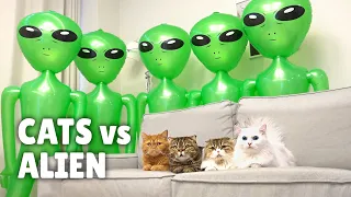 Cats vs Alien | Kittisaurus