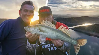 ZANDERANGELN am Stausee | So fängst du Zander beim Vertikalangeln