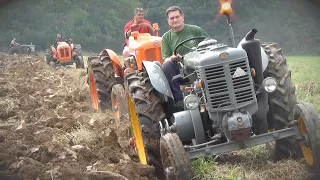 Landini Testacalda, OM 513R, Fiat 80R - Aratura 2020 Castelnuovo Rangone