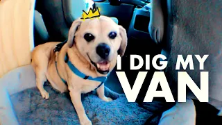 VAN LIFE | MY DOG'S FIRST RIDE | PORTABLE JUMP STARTER