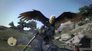 Dragons Dogma - Warrior one shots Griffin