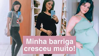 EVOLUÇÃO DA MINHA BARRIGA | GESTAÇÃO GEMELAR