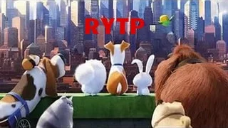 Секруты Домашних животный RYTP