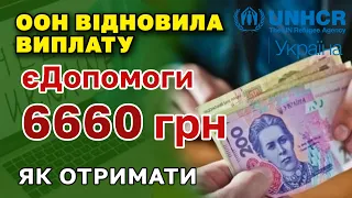 ООН відновила реєстрацію і виплату 6660 гривень єДопомоги. Як і хто може отримати.