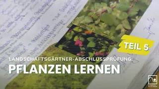 Landschaftsgärtner-Abschlussprüfungen Teil 5: Pflanzen lernen | GaLaBau Bayern