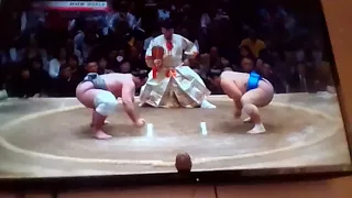 sumo tochinoshin