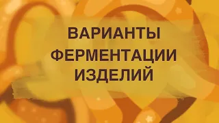 Как открыть пекарню. Варианты ферментации хлеба.