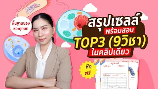 สรุปเซลล์ใน 1 คลิป : ชีวะครูฝ้าย ALevel สอวน. ชีวะ