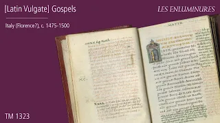 The Four Gospels,  a lovely and unusual manuscript from Italy