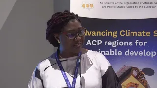 Africa@COP28: AUDA-NEPAD - Leveraging investments and financing mechanisms,10 Dec (FULL SESSION)