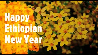 Ethiopian New Year Music Collection | የአዲስ ዓመት ሙዚቃዎች ስብስብ