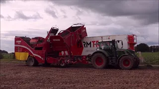 2 Fendt mit Grimme SE 150-60 beim Kartoffel ernten!