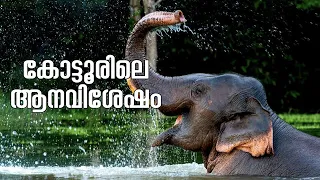 🐘 Explore Kottoor Kappukadu Elephant Rehabilitation Centre near Neyyar Dam |  in Trivandrum! 🌳