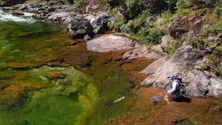 Fly Fishing the Most Beautiful Brown Trout from Amazing River.