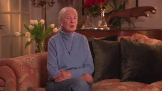 Dr. Jane Goodall on The Ivory Game