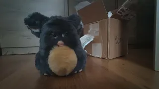 Unboxing a 2005 Furby!