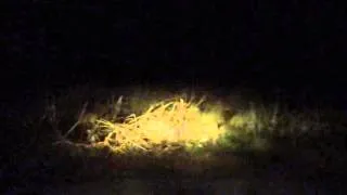 Driving in Silent Hill AT NIGHT *POSSIBLE GHOSTS* Centralia Pennsylvania
