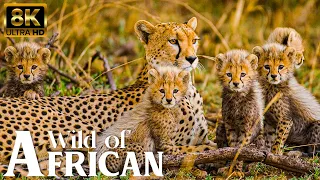 4K African Wildlife: Nairobi National Park, Africa, Relaxation Film With Real Sounds