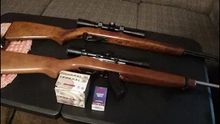 Marlin model 60 vs Ruger 10/22