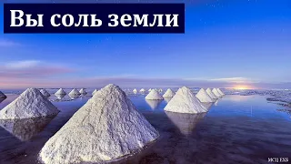 "Вы соль земли". Я. Я. Янц. МСЦ ЕХБ