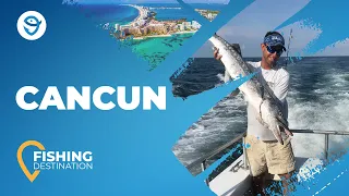 Fishing in Cancun: All You Need to Know | FishingBooker