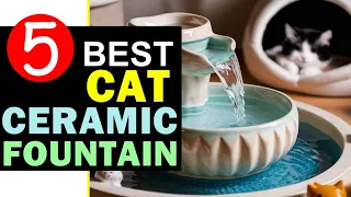 Best Ceramic Cat Water Fountain 2024 🏆 Top 5 Best Ceramic Cat Water Fountain Reviews