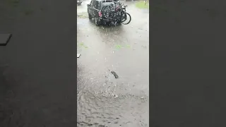 Campground Flood - Ever Happened To You? #rvlife