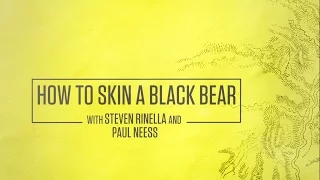 How to Skin a Black Bear with Steven Rinella and Paul Neess