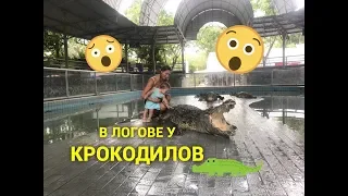 Мы испытали ШОК! Крокодиловая ферма в Паттайе.