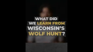 What did we learn from Wisconsin's wolf hunt?