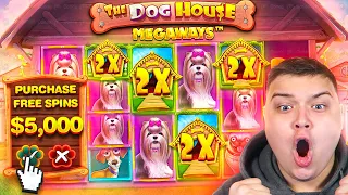 SICK Set-Up On DOG HOUSE MEGAWAYS!! ★ TOP 5 RECORD WINS OF THE WEEK!