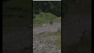 Terrible MTB crash of Gee Atherton 🤯😱😢