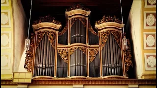 XAVER VARNUS PLAYS BACH ON SILBERMANN ORGAN: "O MENSCH, BEWEIN DEIN SÜNDE GROß"