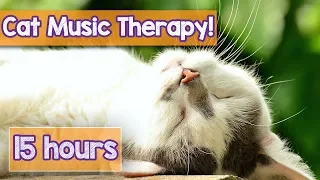 PET MUSIC THERAPY for Cats, Natural Remedy to Anxiety and Loneliness. De-Stress and Relax Cats!