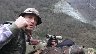 Wild Boar Hunting in Karadağ