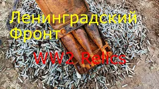 Коп по Войне.Лен.Фронт,4 дня в лесу. 2-я часть WWII Metal Detecting part 2