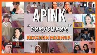 Apink 에이핑크 덤더럼(Dumhdurum) Music Video Official - Reaction Mashup