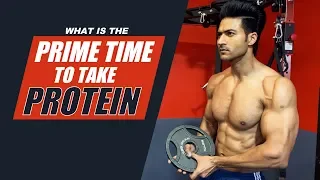 Prime Time to Take PROTEIN - Best Time to Take Protein | info by Guru Mann