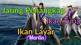 Jaring Penangkap Ikan Tuna Dan ikan marlin Boneatiro