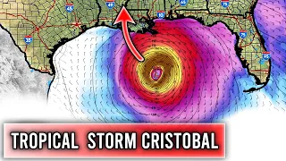 Tropical Storm Cristobal Forecast