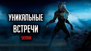 Skyrim - РЕДКИЕ И УНИКАЛЬНЫЕ ВСТРЕЧИ ( Секреты #292 )